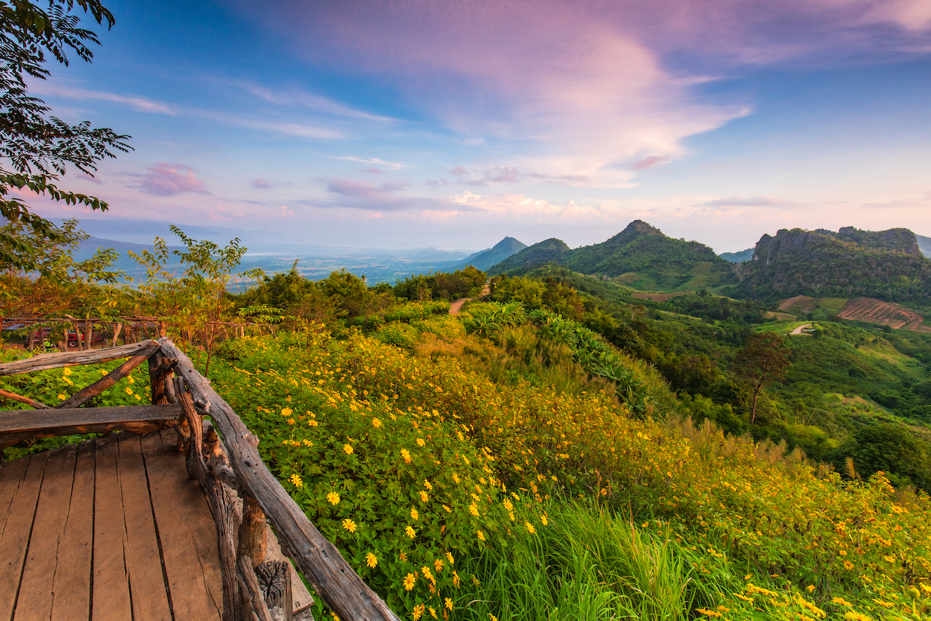 สำนักงานพาณิชย์จังหวัดเลย